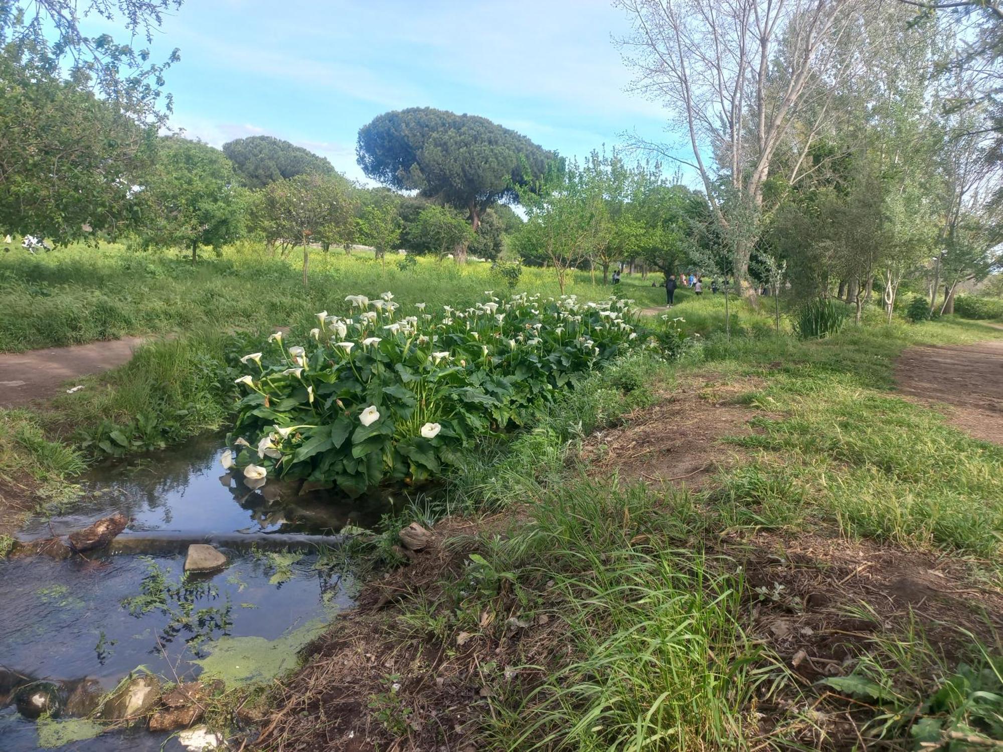דירות רומא A Casa Di Mori מראה חיצוני תמונה